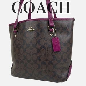 Coach Autentic F34603 Brown & Fuchsia Signature Tote Bag 13×11×5
